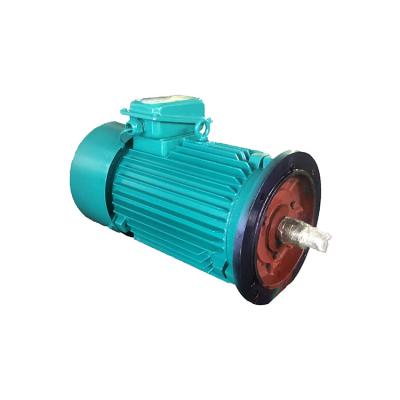 China Drip-proof YZR YZRE-112M 3 phase asynchronous brushless AC motor for sale