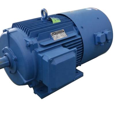 China Included 250KW YE3-355M High Efficiency Three Phase AC Motor for sale