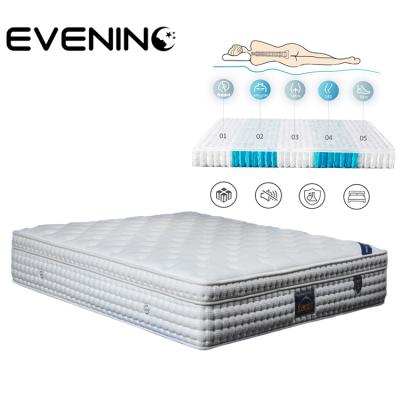 China Foldable Soft Dream Rolled Spring Memory Foam Mattress In A Box for sale