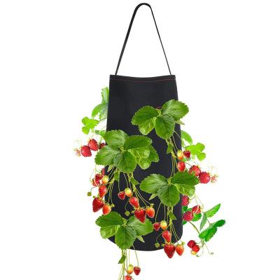 China Eco-Friendly Garden Nursery Chili Pepper Seedlings Sowing Home Strawberry Tomato Hanging Pots Felt Plant Grow Bag for sale