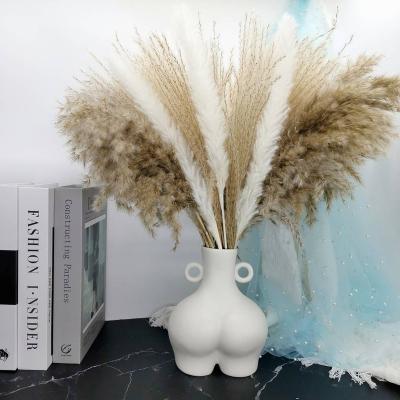 China Wedding Yuntu Amazon Pampass Grass Boho Vase Home Dry Mix Dried Wedding Natural Home Decor Arrangement Pampas Flower Eternal Bouquet for sale