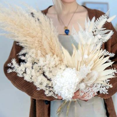 China Boho Hit Yuntu Amazon Small Wedding Pampas Grass To Wedding Vase Gift Real Natural Home Decorative Fluffy Bouquet Custom Home Pampas Grass for sale