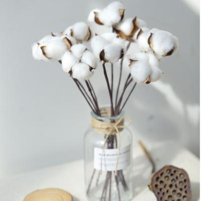 China Handmade natural home decoration wedding bouquet single color head dried flower cotton for flower arranging for sale