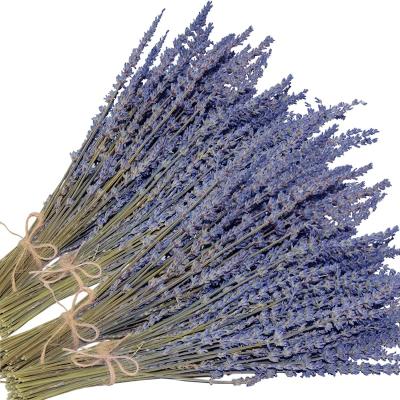 China Weding Home Decoration Yuntu Hot Sale Dried Lavender Flowers Binds Dry Lavender For Boho Decor Home Decoration for sale