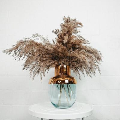 China Large Reed Pampas Bouquet Natural Wild Pampas Grass Dried Flowers Brown Boho Color Pampas Grass Yuntu Home Decoration Weding Wild Pampas Grass for sale