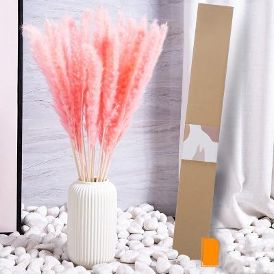 China Amazon Touch Free Sample Wedding Natural Hot Sale Natural Reed Grass Small Pampas In Brown Fluffy White Pink Gray Gray for sale