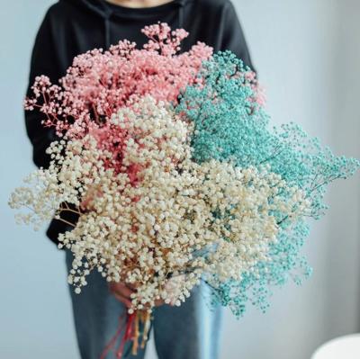 China Wedding Flower Arrangements Yuntu Wholesale Dried Eternal Flowers Dry Preserved Gypsophila Baby's Breath For Wedding Home Decor for sale