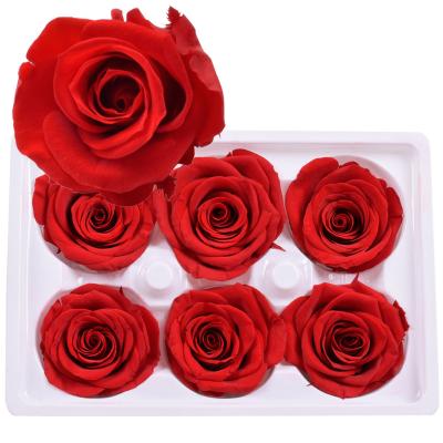 China Wedding Flower Arrangements Yuntu Wholesale Natural Real Touch Eternal Fresh Forever Preserved Roses 5-6 cm In Box Stabilized Immortal Rose Buds Heads Raised for sale