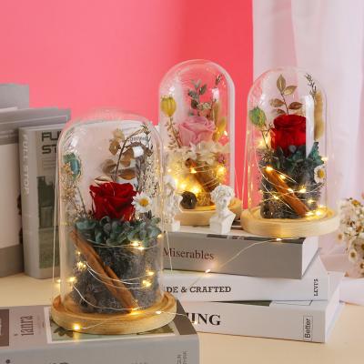 China Wedding Romantic Preserved Eternal Lasting Roses Yuntu Flowers LED Light Flower Arrangements In Glass Dome Rose With Gift Box For Valentine's Day Gift for sale