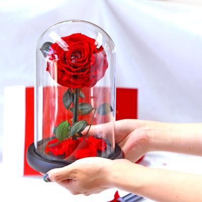 China In Wedding Yuntu Flower Arrangements Preserved Lasting Everlasting Roses Forever True With Stem Glass Dome Gift Box For Valentines Mother's Day Gift for sale