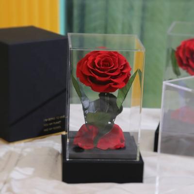 China Yuntu Natural Eternal Single Stem Touch Immortal Preserved Roses Forever Real In Clear Acrylic Dome Rose Gift Box Valentine Mother's Day i for sale