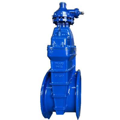 China General PN10 PN16 Umbrella Ruler Wheel Gate Valve for sale