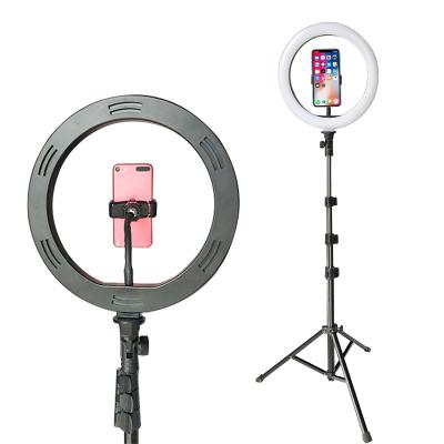 China High Quality Face Detection Christmas Gift Film Selfie Mobile Phone LED Ring Light for sale