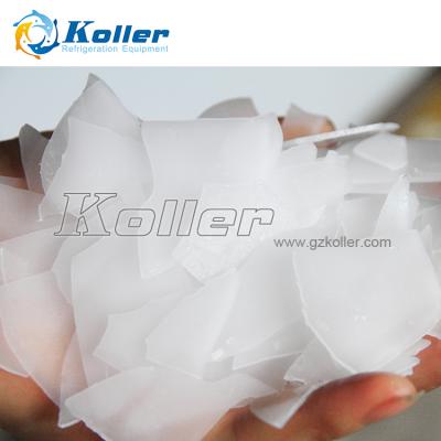 China Building Material Shops Koller Ice Flake Ice Machine 200 Kg Snowflake Ice Machine / Day In Guangzhou for sale