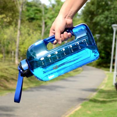 China Hot Viable Wholesale High Quality Large Capacity Water Bottle ARMEEGO Plastic Water Bottle 1 Gallon for sale