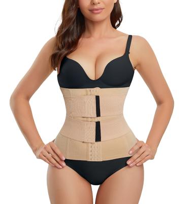 China Women Antibacterial Wholesale Seamless Waist Belt Tummy Control Belt Slimmer Waist Trainer One Double for sale