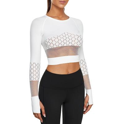 China Mesh Design Quick Dry Seamless Women Fitness Breathable Sports Wear Long Sleeve Yoga Top for sale