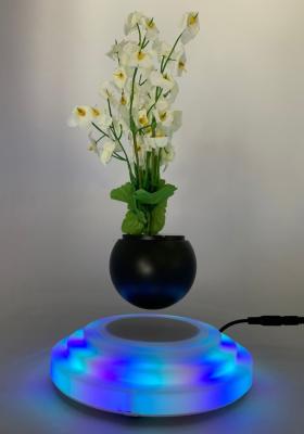 China colorful led light magnetic levitation floating vase plant tree pot bonsai for sale