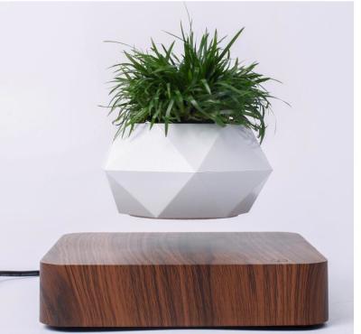 China PA-0734 magnetic levitation air bonsai plant tree flowerpot for decor for sale