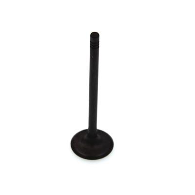 China Metal New Arrival Car Parts Engine Intake Valve OEM DS4G-6505-CB For American Cars 1.6L for sale