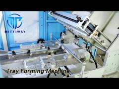 Automatic Tray Forming Machine Stainless Steel High Speed Compact Size