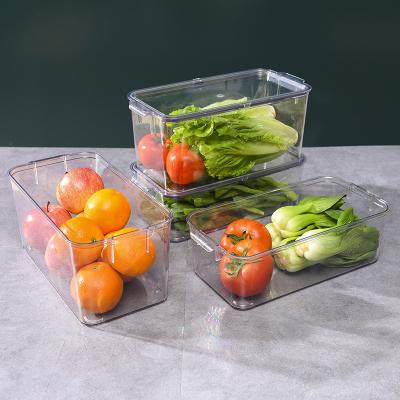 China Hot Selling Clear Freshness Keeping PET Fridge Storage Boxes Food Containers Kitchen Organizers With Handle for sale