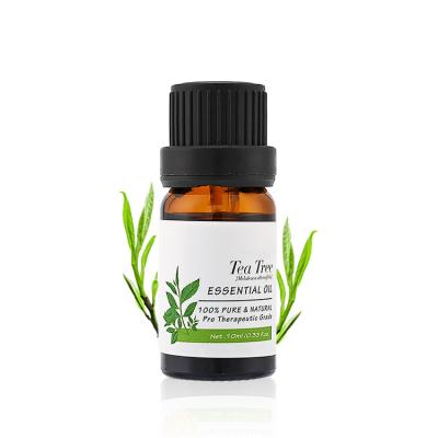 China Essential Oil 10ml Cruelty Free 100% Pure Natural Organic Tea Tree Moisturizer OEM/ODM Essential Oil for sale