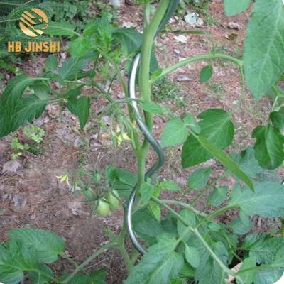 China Stainles steel or low carbon steel hot selling product 1.2m factory support free sample tomato spiral support for sale