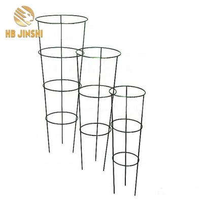 China Colorful Tomato And Vegetable Powder Coated / Galvanized Round Tomato Cage Plant Support Cage for sale