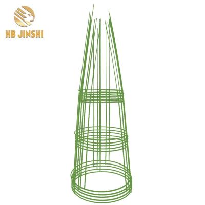 China Tomato and Vegetables 3/4 Ring Powder Coated / Galvanized Round Tomato Cage Factory Support Cages In Stock for sale