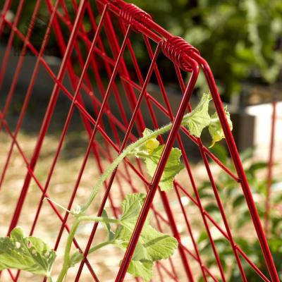 China Cucumber Support Trellis 34 x 48 inch Garden Trellis Green A-Frame Zucchini Cucumber Trellis for sale