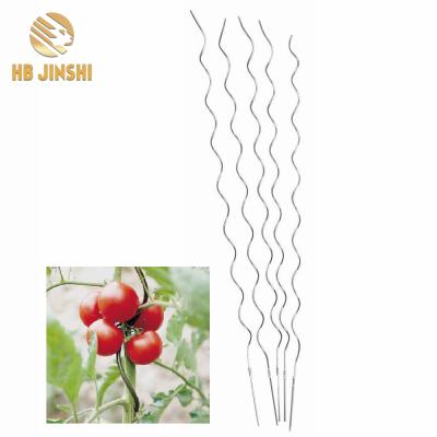 China 6.0 x 1800 mm Easily Assembled Electro Plant Support Wire Cucumber Garden Trellis Galvanized Wire Trellis for sale