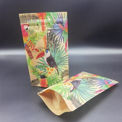 China Customized CTP Printing Packaging Bags with Kraft Paper Zipper Tear bags for sale