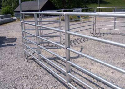 China Round Pipe Horse Corral Fencing , 12x4ft Size Galvanised Steel Farm Gates for sale