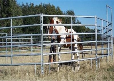 China 48mmOD Pipe Framed Cattle Fence Panel Stable With 360 Degree Full Welding for sale