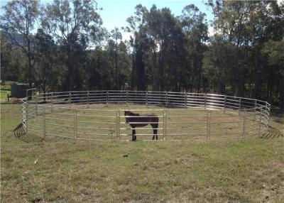 China Light Duty Portable Horse Corral Panels Easy Assembly And Disassembly for sale