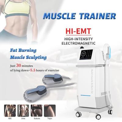 China 300W - 5000W Body Sculpt Machine ， Body Sculpting Equipment 3 - 200HZ for sale