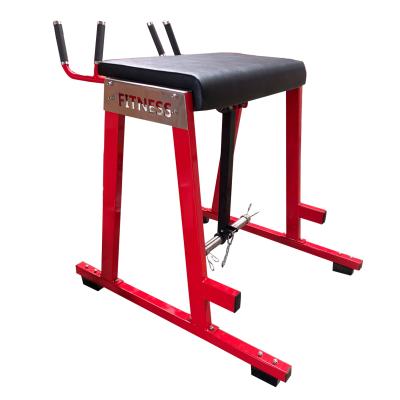 China Gym Hip Machine Reverse Hyper Extension Machine voor rug en heup Te koop