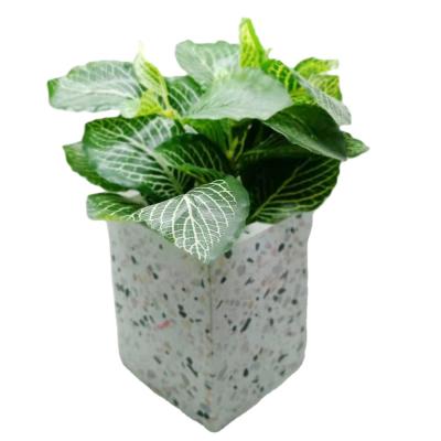 China Hot Sale Eco-friendly Cement Terrazzo Look Flower Pot Planter For Outdoor Garden for sale