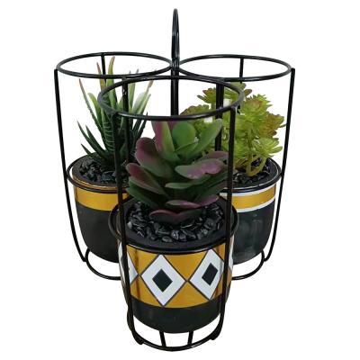 China eco-friendly living room planter balcony decoration decorative cement planter for sale for sale