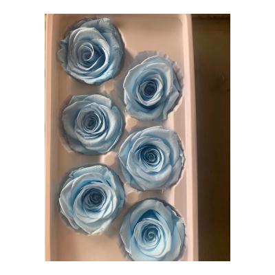 China Wholesale Home Deco High Redeem Rate Colorful 4-5cm Eternal Roses Flower Preserved Roses Heads As Gifts for sale