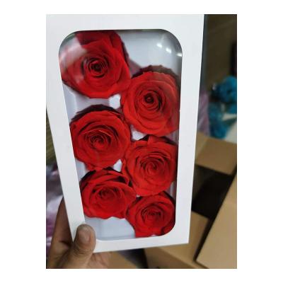 China Natural Eternal Immortal Preserved Flower Head Roses Gift China Best Home Deco Fresh Quality True Forever for sale