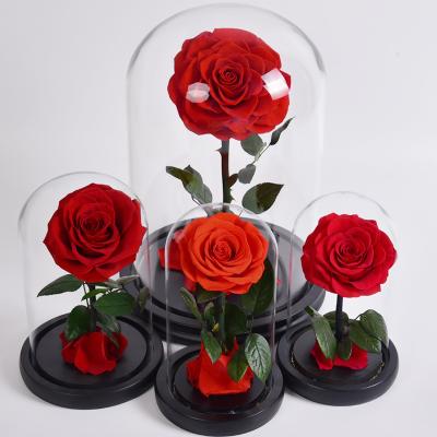 China Wholesale Green Environmental Protection Durable Fresh Artificial Flowers In Glass Dome Festival Valentine's Day Flower Gift Set Forever for sale