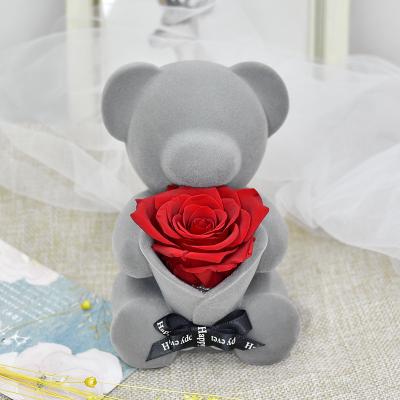 China Green A Grade 70 Colors Environmental Protection Wholesale Eternal Roses Immortal Bear Preserved Forever Rose Flowers Valentines Day Gift for sale