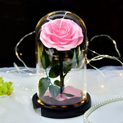 China 100% Natural Fresh Flower Romantic Eternal Flower Real Roses Wholesale Durable Saving Grade A Real Preserved Forever Rose Flower In Glass Dome for sale