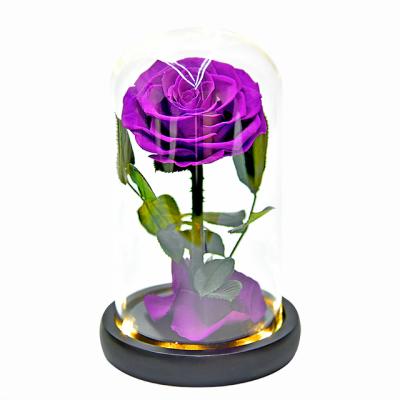 China 100% Real Fresh Natural Flower Wholesale 8-9cm Everlasting Preserved Everlasting Immortal Roses Forever Head for sale