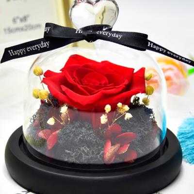 China red glass dome Beautiful Enchanted Glass Preserved Roses 100% real fresh flower valentines day natural luxurious gifts with gift box for sale