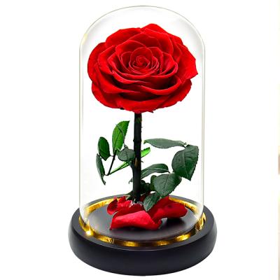 China 100% natural real fresh flower eternal roses flower as gift sets with glass dome box preserved fresh flower for decoration for sale