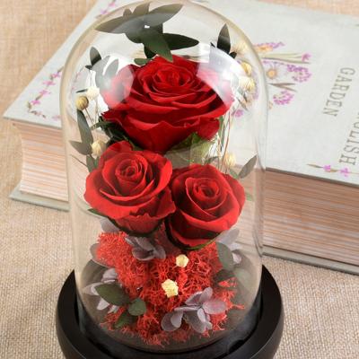 China Hot Selling Green Eternal Roses Long Lasting Roses Natural Environmental Protection Glass Dome Christmas Preserved Roses For Wedding for sale