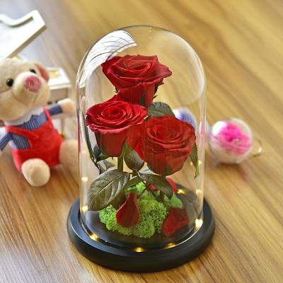 China Green Environmental Protection Eternal Colors Of Each Love Flower Stabilized Forever Eternal Roses In Glass Dome For Valentines Day Gifts for sale